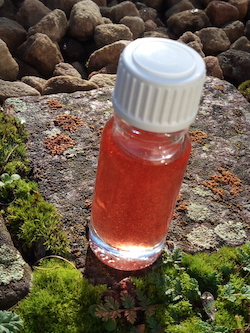10ml St. John's Wort Oil